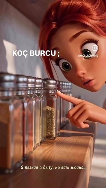 @kocburcu6