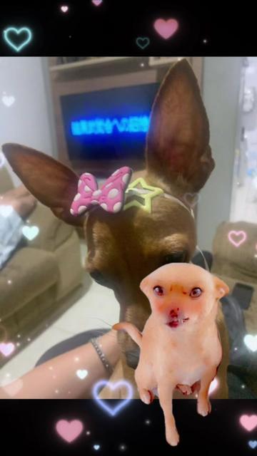@˚ ༘𝐣𝐮𝐛𝐬⭐️ 🦕;-;。˚