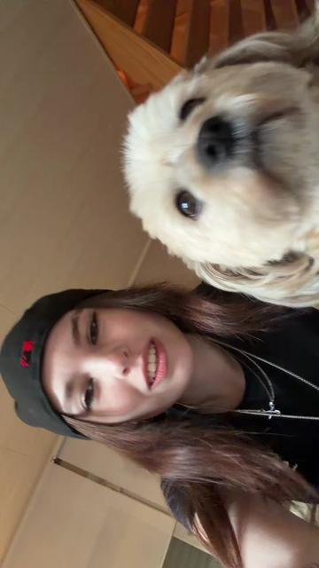 @๐ฏ๐ถ๐๐พ๐ฆ๐น๐ธ