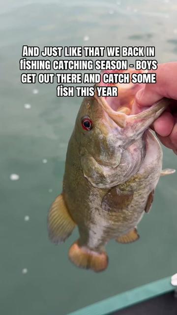 @BRVDDY BASSIN