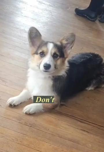 @Amy