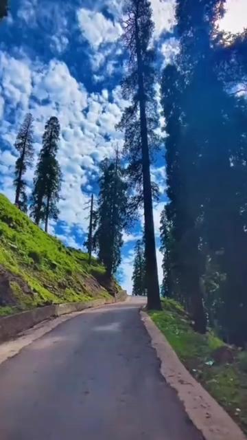 @🕊️.⋆کلمدم کشمیری.⋆👸