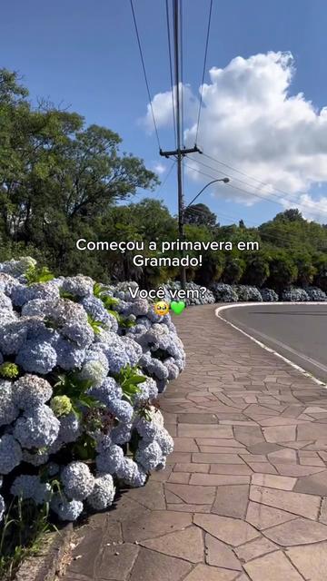 @La&ccedil;ador de Ofertas