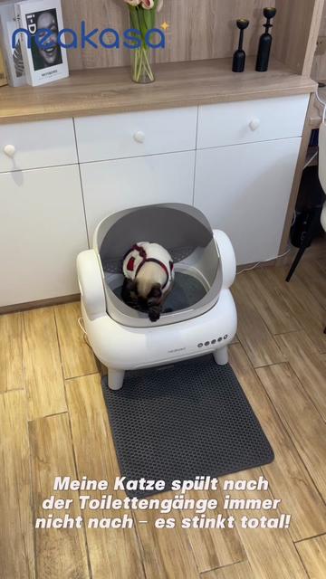 @Gl&uuml;ckliche Katze