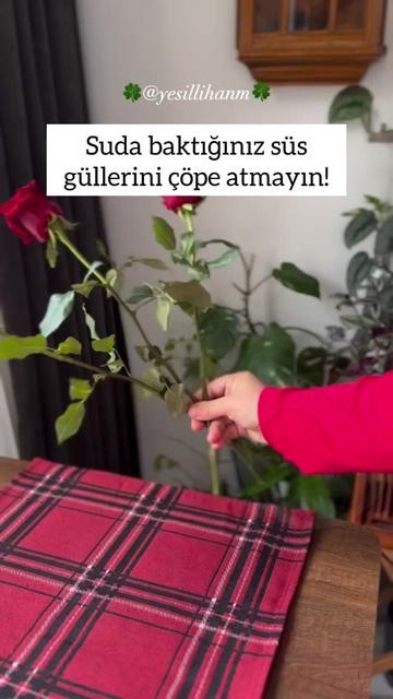 @yesillihanm