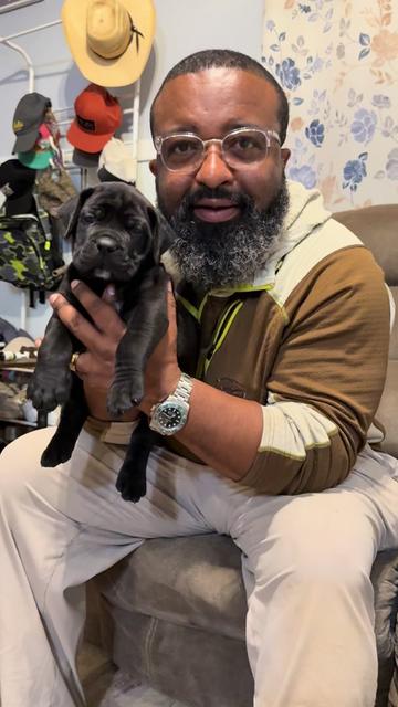 @kyboerboels