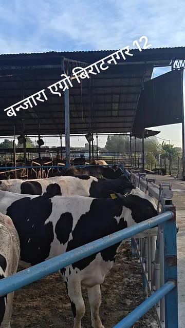 @Banjara Agro