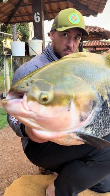 @Dimex Pescador