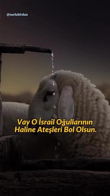 @🍃Seyit_01,🍃