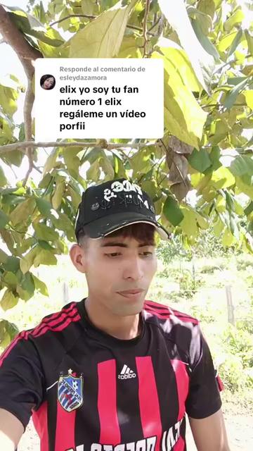@elix Días