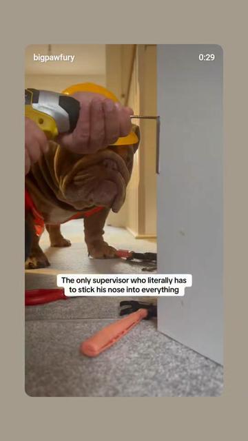 @Crookedcitykennel