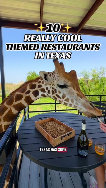 @Texas Love List