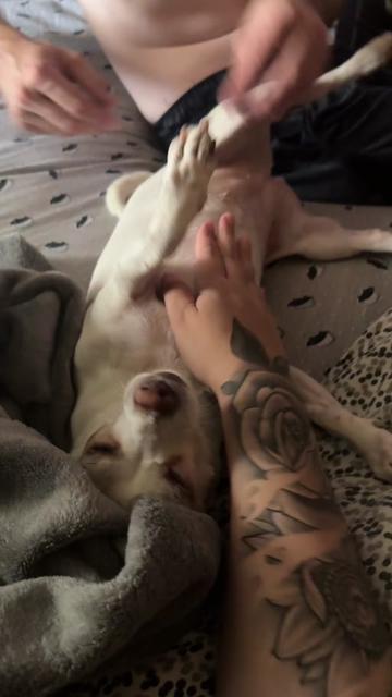 @Bambi & Canela 🐶🐕