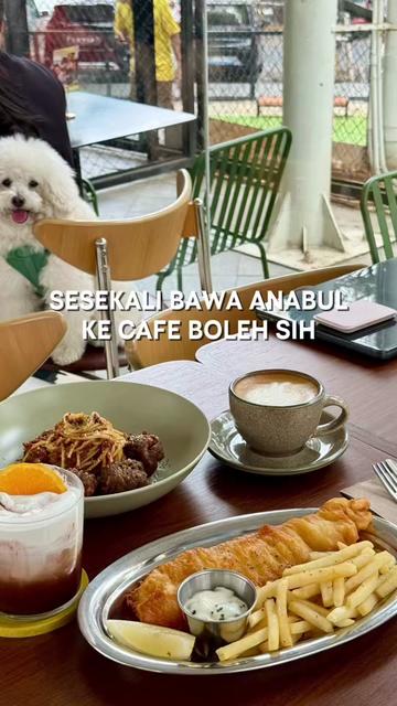 @krizy︱siapanih