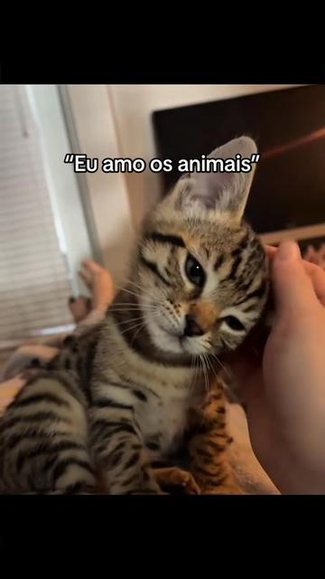 @Carne é cruel