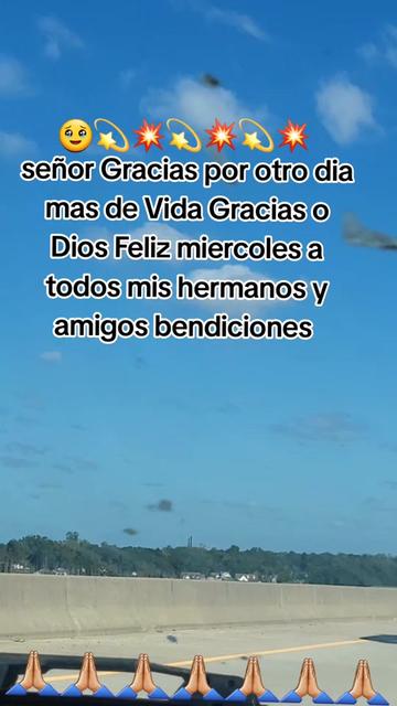 @🌻TERSITA🀄🕊deAKi*🐺