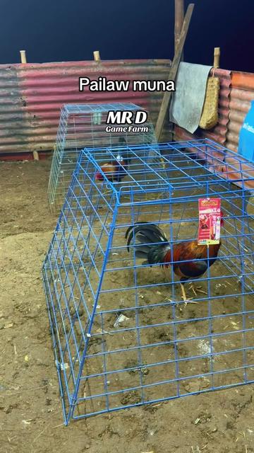 @MR D Game Farm