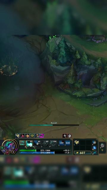 @insectolol