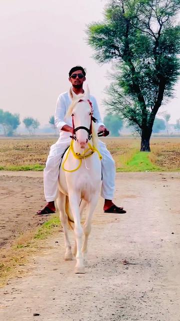 @کرم کھرل🦅