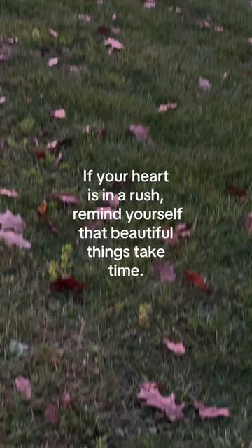 @ℒ ᥫ᭡