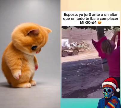 @PRINCESA701