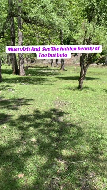 @Kashmir Diary 🍁