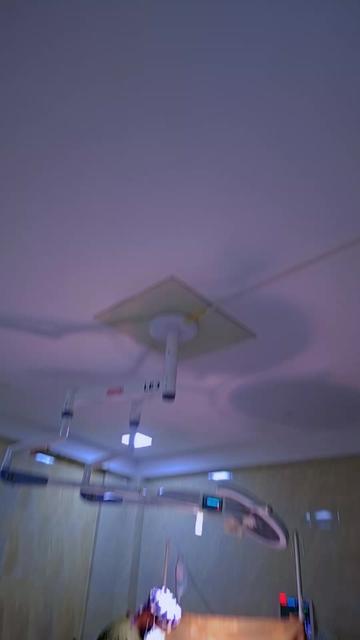@ዞዊ ናዝራዊ