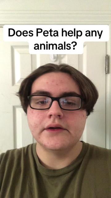@Thebigcheese