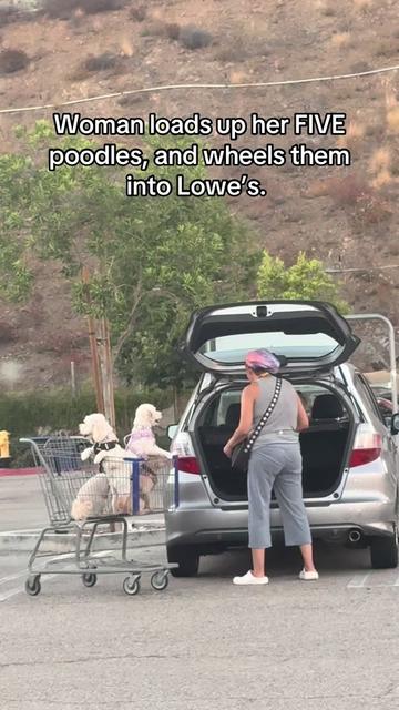 @Real moms of the CV