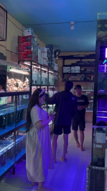 @Aquatic Garage Bekasi