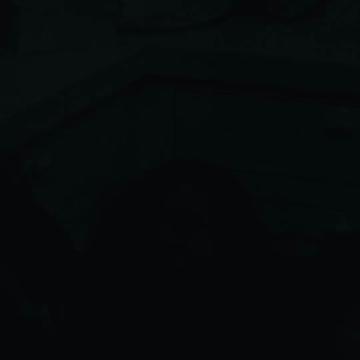 @T6inten