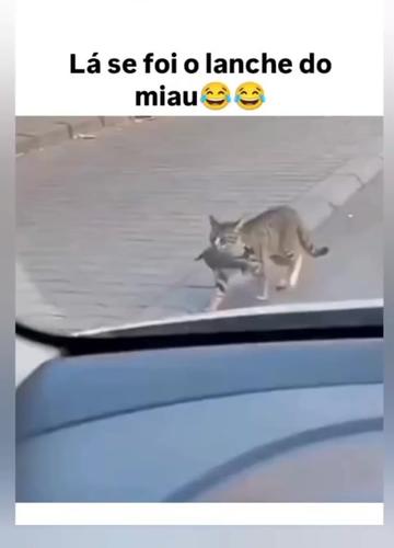 @TOP VIDEOS