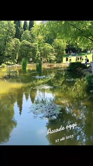 @alessandramarchi726