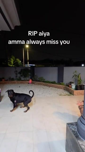 @🖤❤️ Riderponnu ❤️🖤