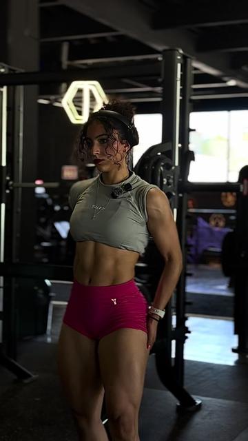 @ilseecr