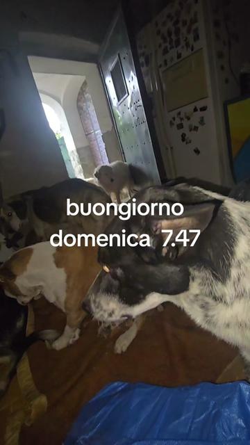 @leonessa34 rifugio emma
