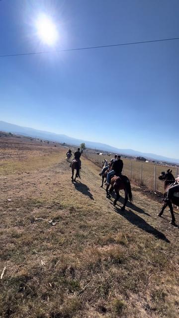 @BERTI RANCH 🐎