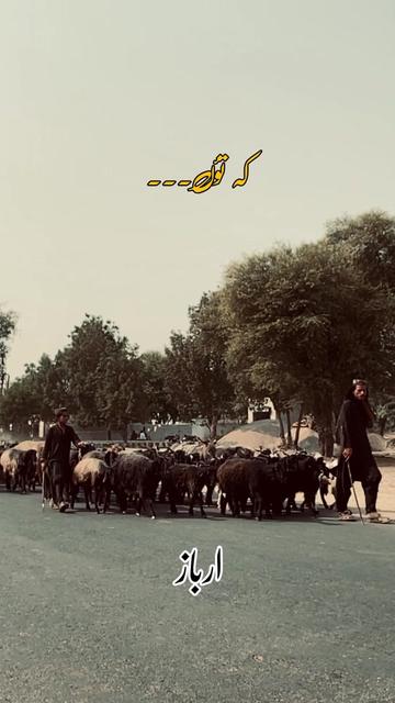 @ارباز