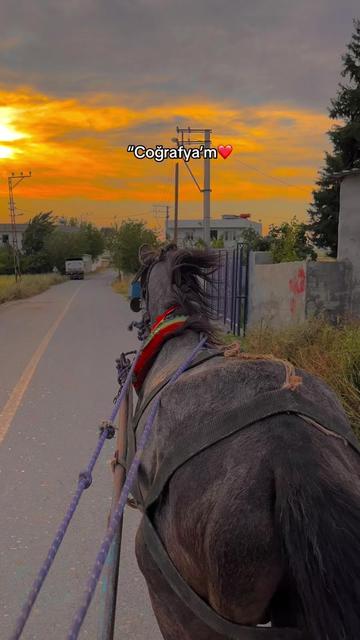 @𝑩𝒆𝒔̧𝒊𝒓 𝑲𝒐𝒓𝒌𝒎𝒂𝒛🍂