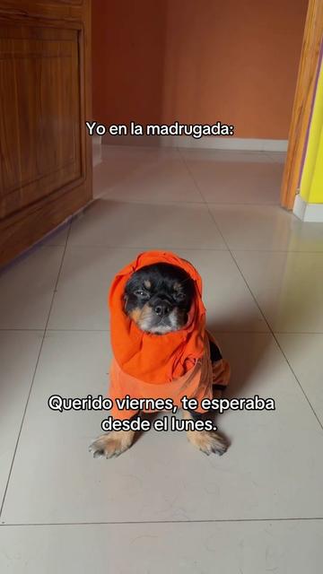 @🍀🐾Luis Pulgarin y Mafrencito