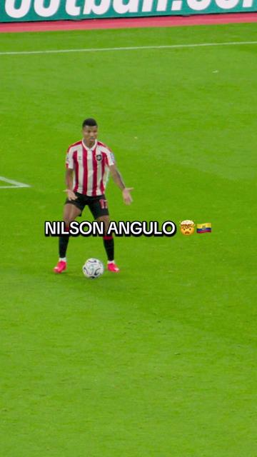 @Sunderland AFC