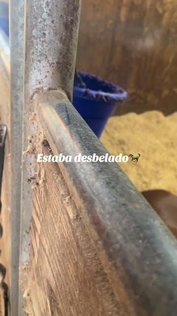 @Sabina Elias Aldama ❤️