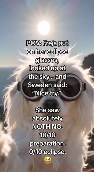 @🇸🇪🌸FrejaThePowderPuff🌸🇸🇪