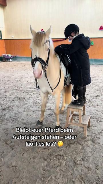 @Shanea & ihre Ponys ♥️🐴