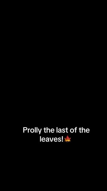 @Huskyfella