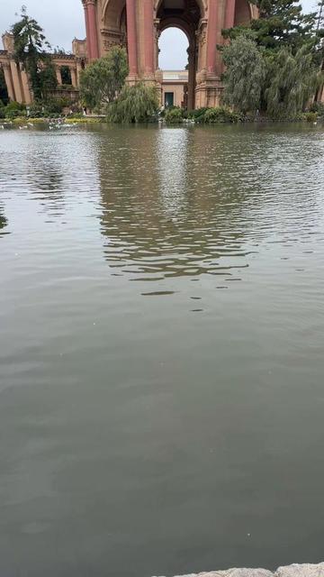 @Anuja