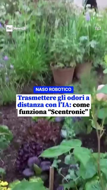 @RaiNews