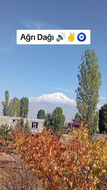 @bazidli adem04