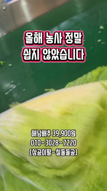 @인생먹거리