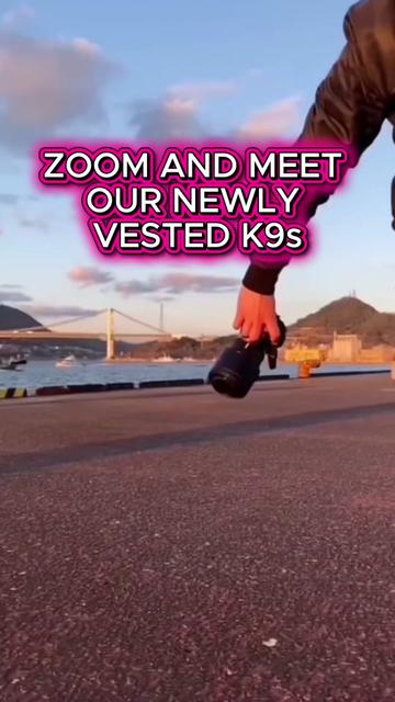 @Vested Interest in K9s, Inc.